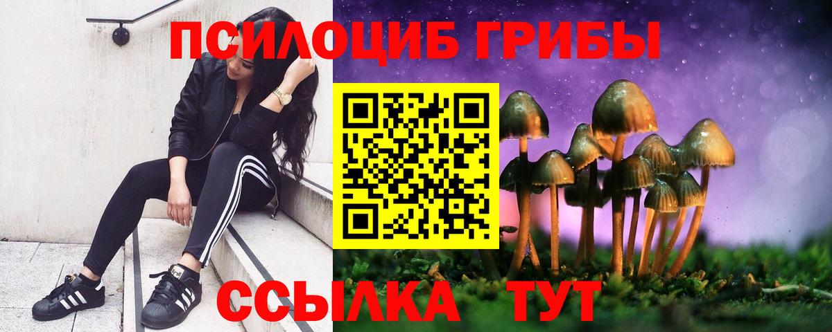 Псилоцибиновые грибы Psilocybine cubensis  Галлюциногенные грибы GOLDEN TEACHER  Вход с VPN  Канск 