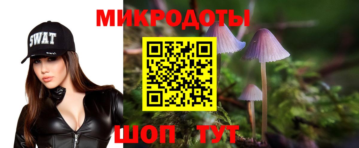 Галлюциногенные грибы MAGIC MUSHROOMS Канск